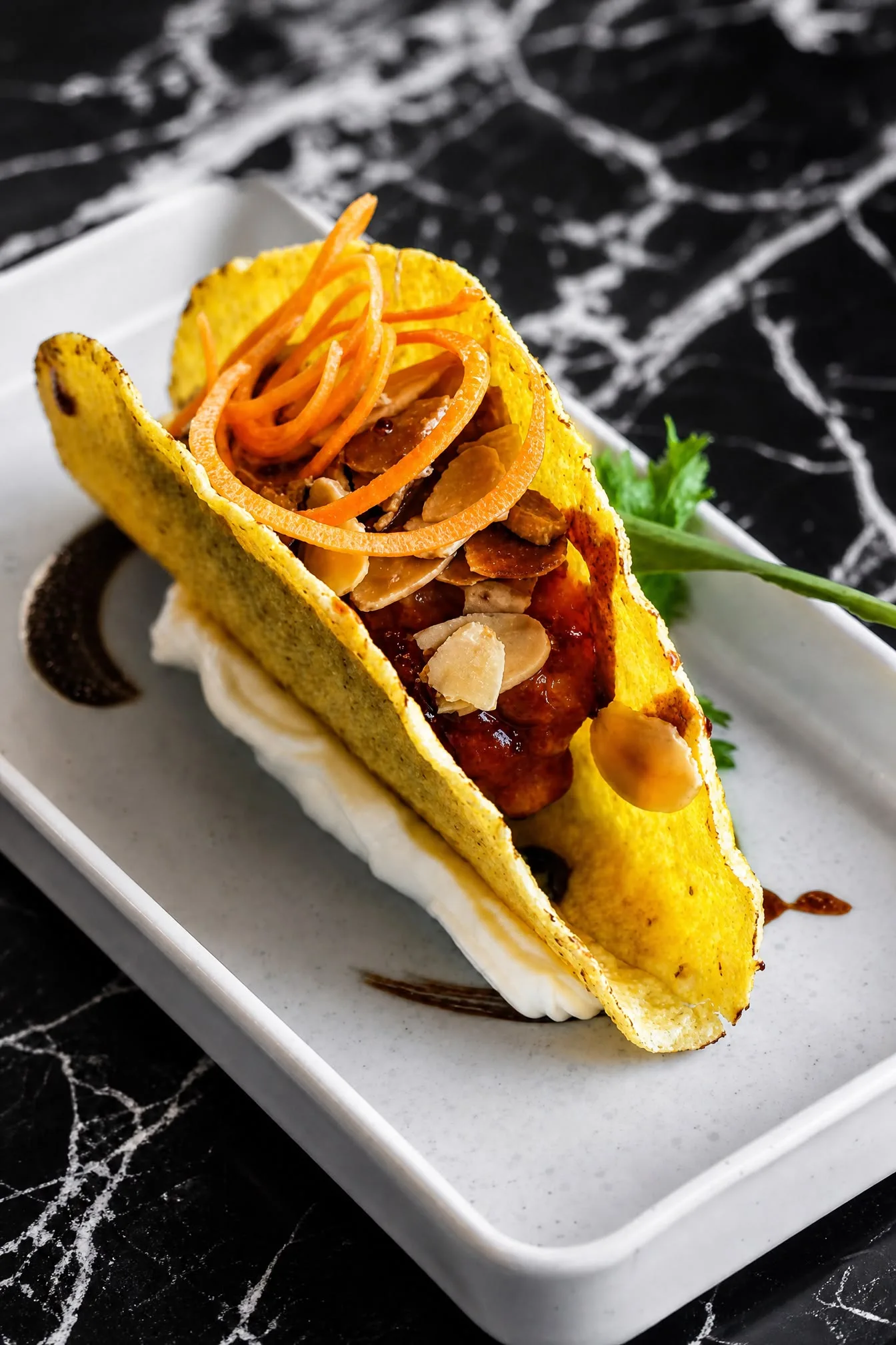 Taco Fusion